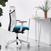 SmartBack