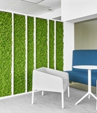Wall