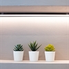 Resine Decorative